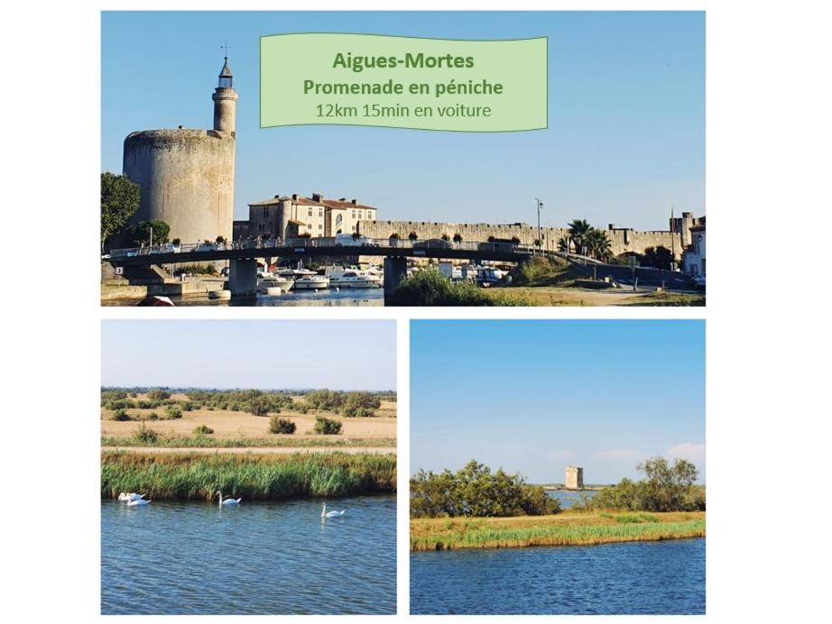 L'Olympe Vue Lac Parking Clim Wifi - Rossiconciergerie - Linge Inclus La Grande Motte Exterior foto